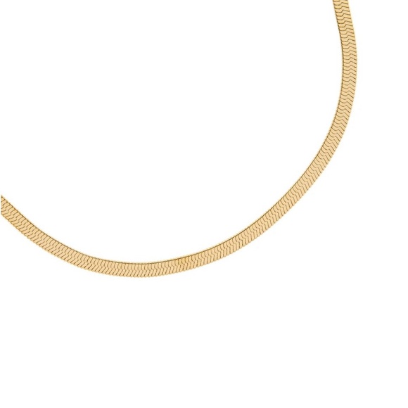 NWT Jennifer Zeuner Hamilton Necklace - Picture 3 of 6